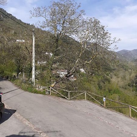 Aparatamento Rural El Oso 3 โปลา เด โซเมียโด ภายนอก รูปภาพ