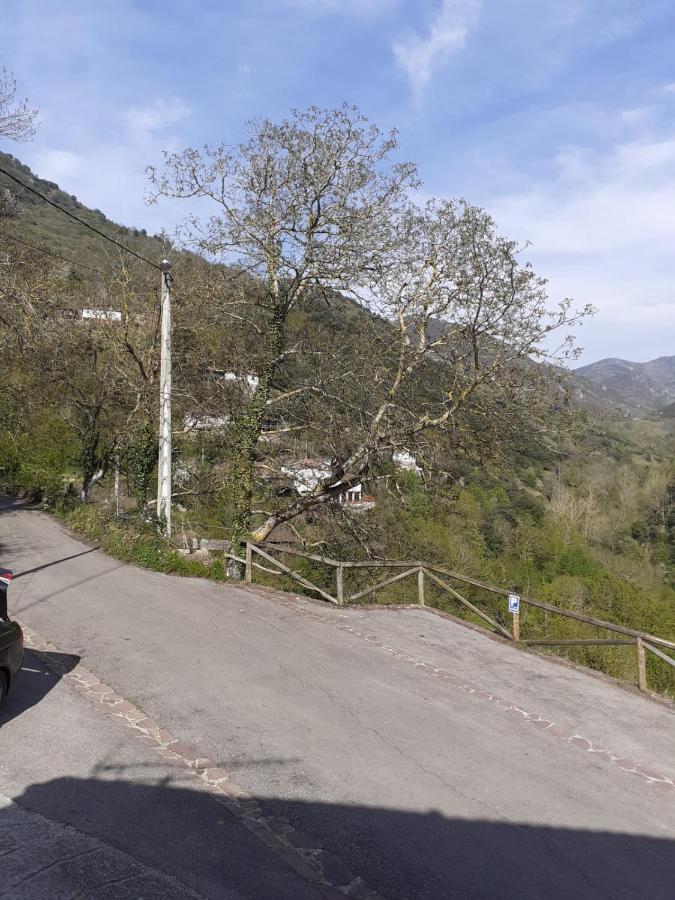 Aparatamento Rural El Oso 3 โปลา เด โซเมียโด ภายนอก รูปภาพ